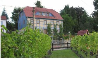 In Der Alten Weinstube Freital Bagian luar foto